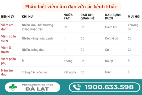 Hình ảnh minh họa